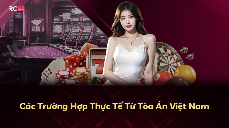 Các Trường Hợp Thực Tế Từ Tòa Án Việt Nam