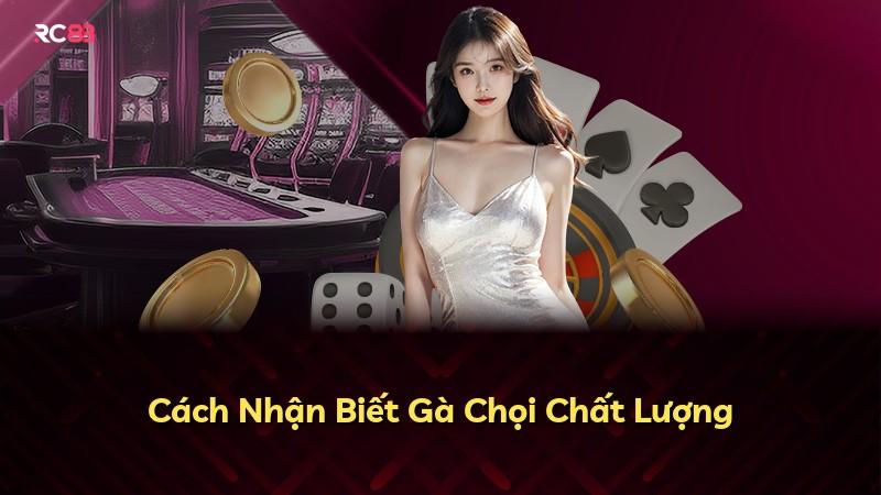 Cách Nhận Biết Gà Chọi Chất Lượng