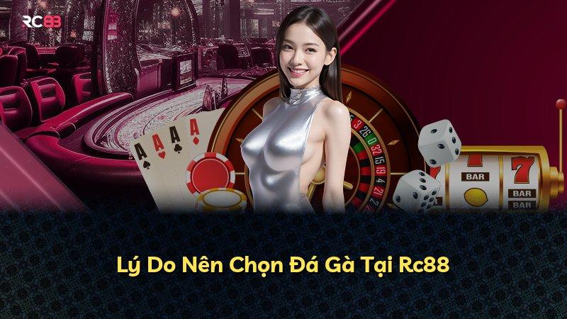 Lý Do Nên Chọn Đá Gà Tại Rc88
