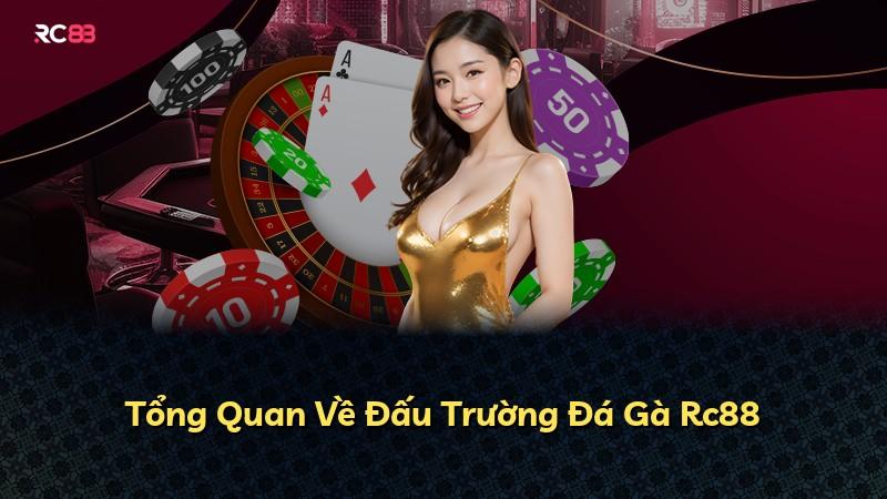 Tổng Quan Về Đấu Trường Đá Gà Rc88